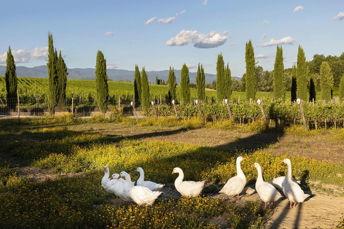 Palagina Il Borgo Agricolo * Figline Valdarno