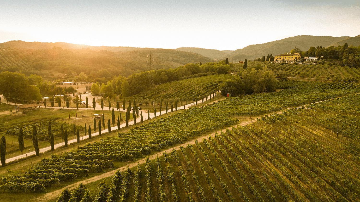 Camping Palagina Il Borgo Agricolo *