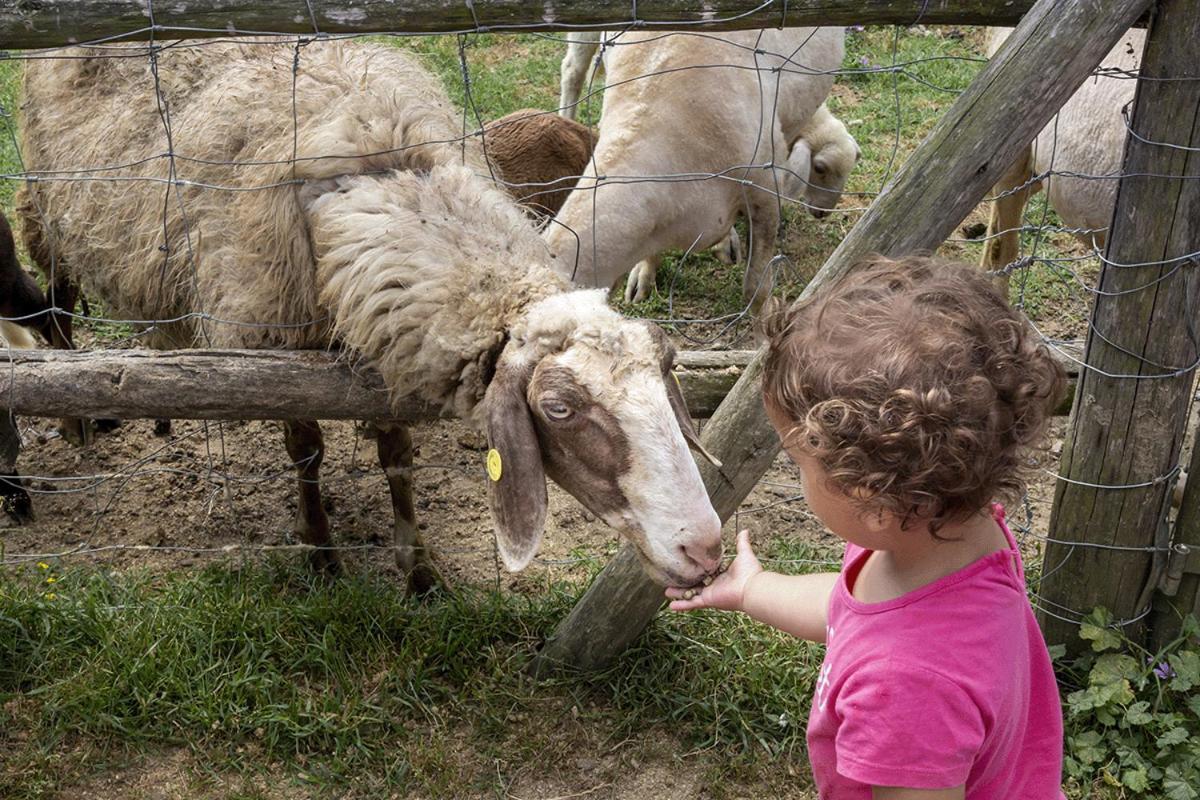 Palagina Il Borgo Agricolo Camping
