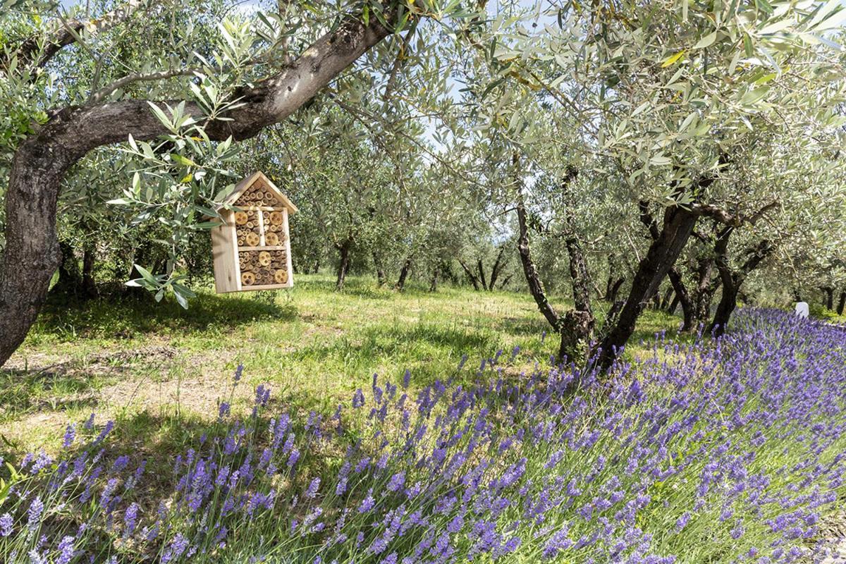 Palagina Il Borgo Agricolo *